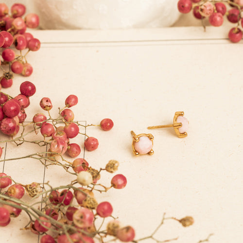 Puce D'Oreilles  Nelly Opale Rose