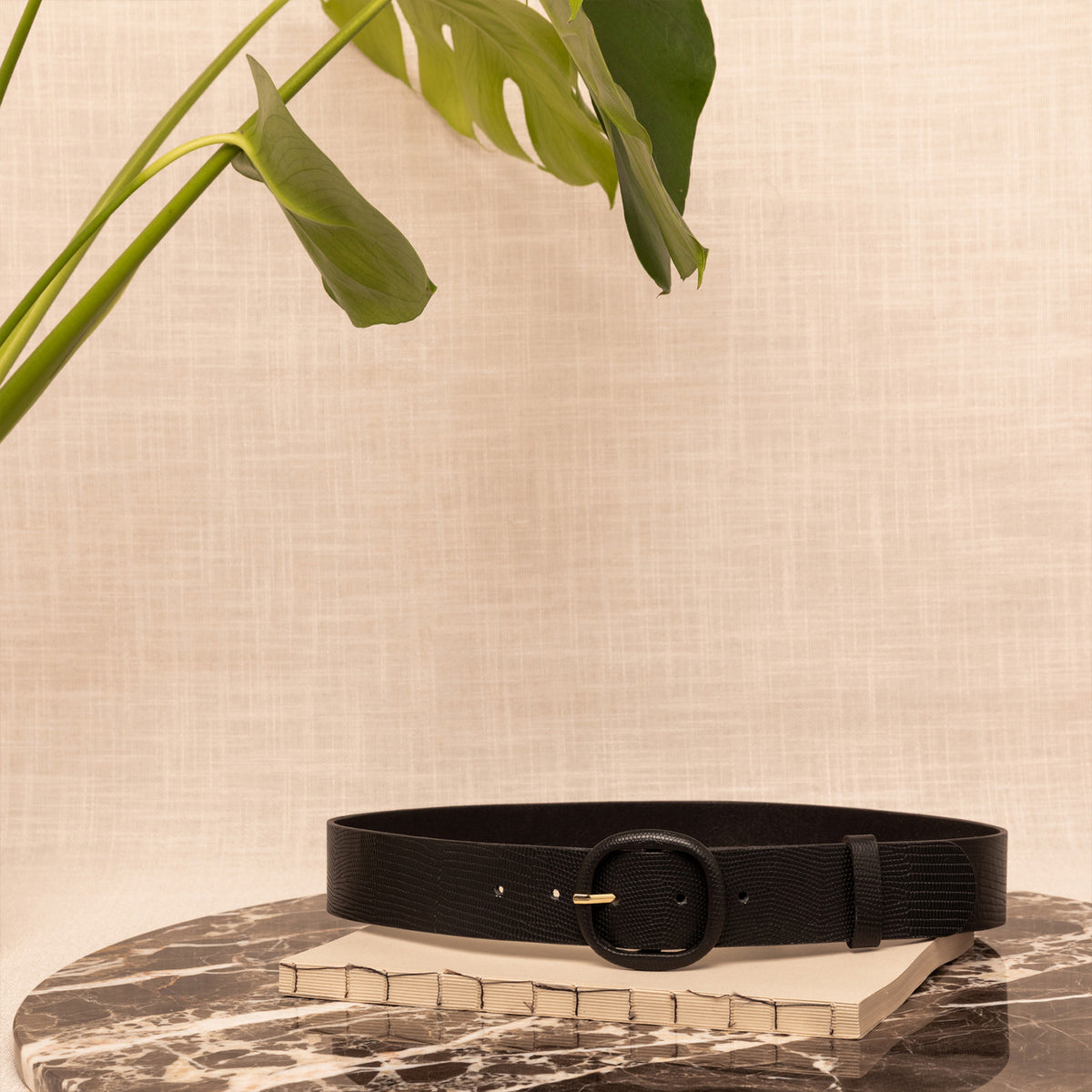 Ceinture Rosane Lezard Ganache