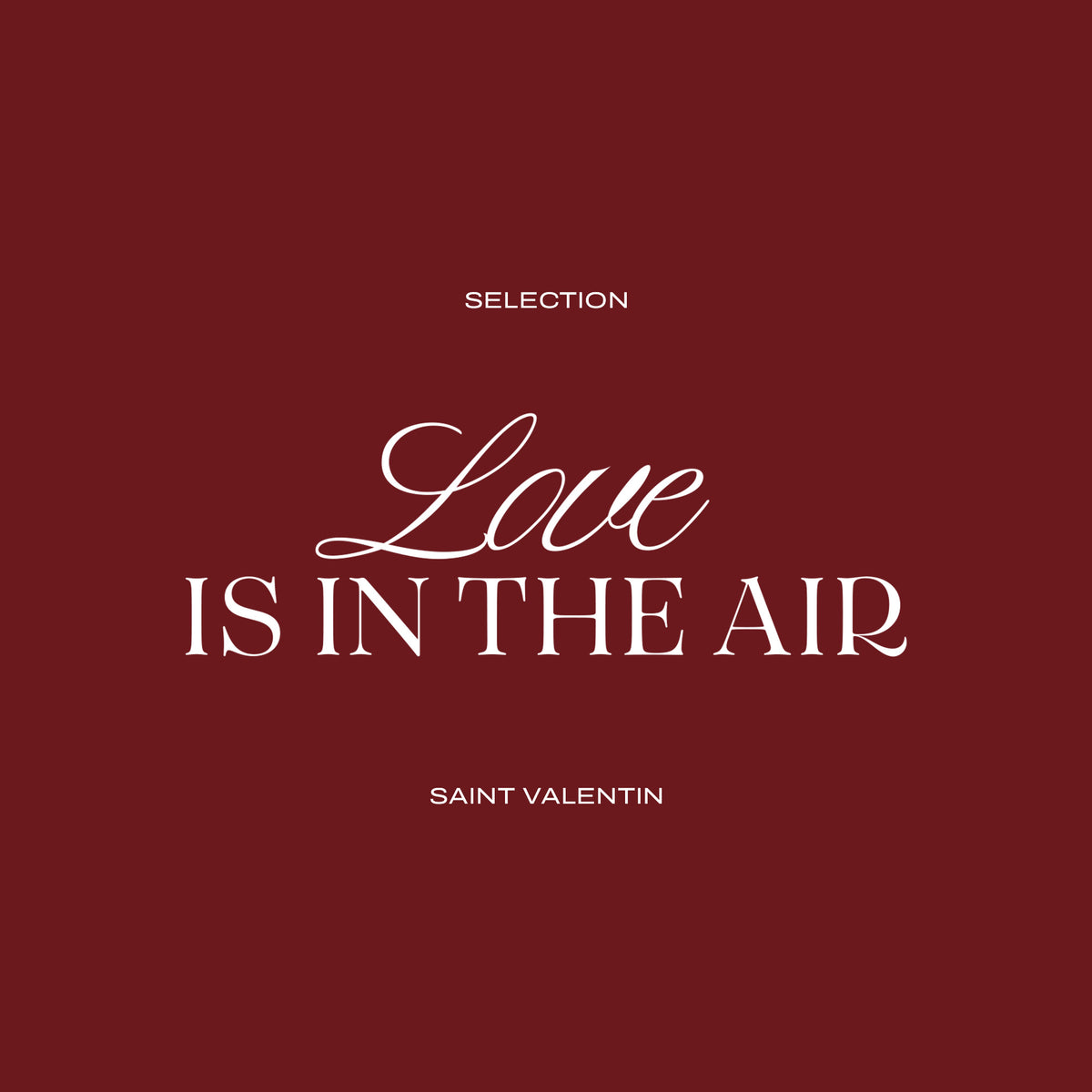 Encart statique Saint Valentin AH24