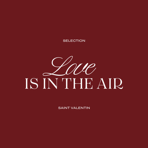 Encart statique Saint Valentin AH24